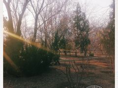 -北京植物园南门售票处