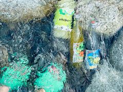-虹口漂流
