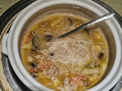 -先机泉水鸡汤(南山老君洞店)