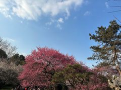 -杭州植物园