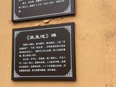 -范蠡湖公园
