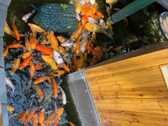 -上海大自然野生昆虫馆(东方明珠·爬宠昆虫探索中心)