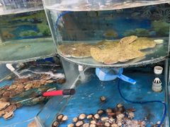 -鑫渔港海鲜本地菜·山海关浑锅(东戴河店)