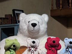 -济州岛泰迪熊博物馆