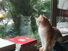 -咖法森林·咖啡  酒吧(天河店)