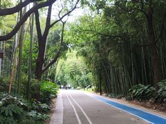 -苏州河梦清园环保主题公园