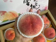 -老袁家蜜桃农场·阳山水蜜桃