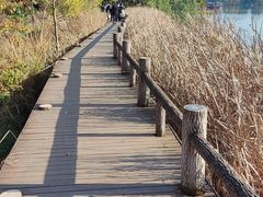 -东湖落雁景区