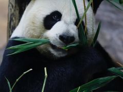 -沈阳森林动物园