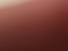 -鹅冠港式茶餐厅(来福士店)