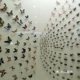 妈妈再也不用担心我五谷不分了