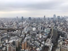 -叙叙苑(惠比寿花园广场大厦店)