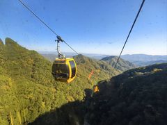 -栾川竹海野生动物园