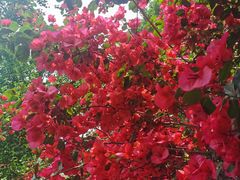 -乐山大佛风景名胜区乌尤寺南门-售票点