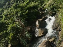 -马峦山郊野公园