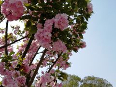 -四川大学(望江校区)