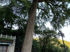 -天津盘山风景名胜区