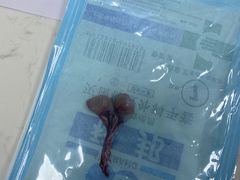 -福州肆爪动物医院