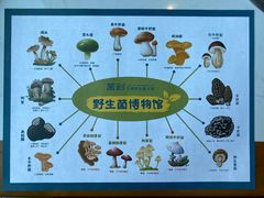 -菌彩云南野生菌火锅(呈贡七彩云南第壹城店)