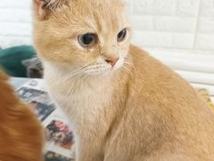 -平行世界·猫咖(首经贸店)