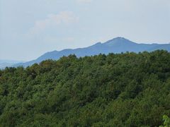 -铁山坪森林公园