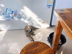 -黄家馄饨(铁心桥店)