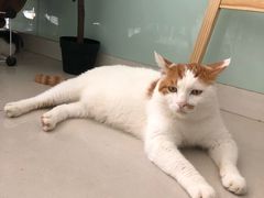 -平行世界·猫咖(首经贸店)
