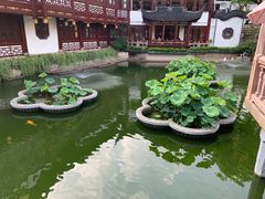-豫园湖心亭茶楼