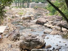 -北仑森林植物园