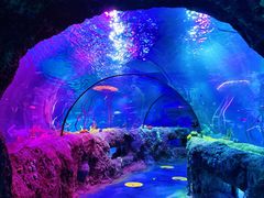 -沈阳海洋探索中心