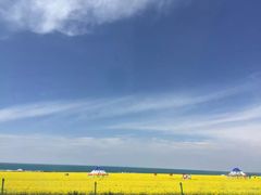 -青海湖国家重点风景名胜区