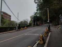 -火炉山森林公园