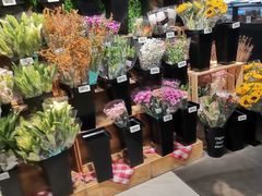 -盒马鲜生(双清路店)