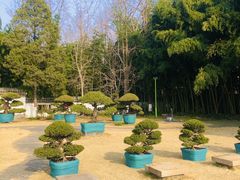 -水绘园