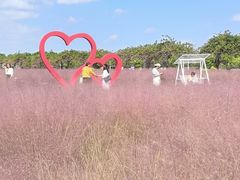 -嘉北郊野公园