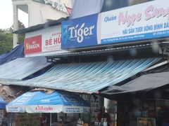 -芽庄喜来登水疗酒店