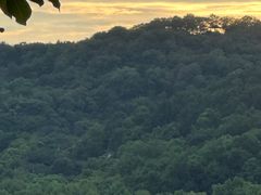 -浙江省博物馆(孤山馆区)