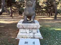 -北陵公园