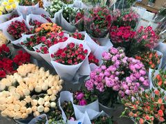 -三圣花乡旅游区