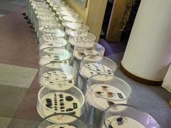 -陕西自然博物馆