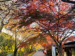 -三千院