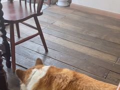 -肥朵食堂(带梦胡同店)