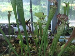 -国家植物园南园