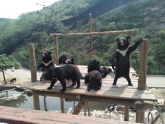 景点-大连森林动物园