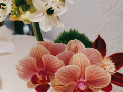 -上上席川菜(凯德乐峰广场店)