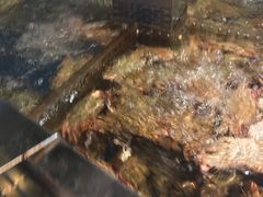 -盒马鲜生(莱蒙都会店)