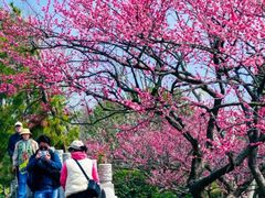 -上海海湾国家森林公园