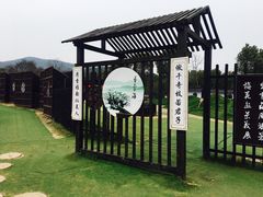 -香雪海