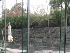 -外滩悦榕庄·海怡西餐厅