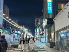 -宝健路步行街(Pedestrian Shopping Street)